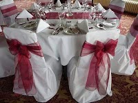 POSH CHAIR COVERS AND BOWS 1071374 Image 8